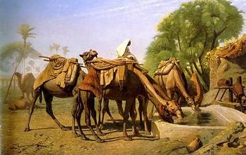 unknow artist Arab or Arabic people and life. Orientalism oil paintings  468 China oil painting art